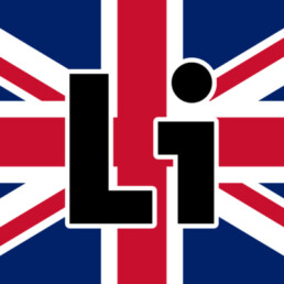 Das DeinLiFE Logo auf einer britischen Flagge